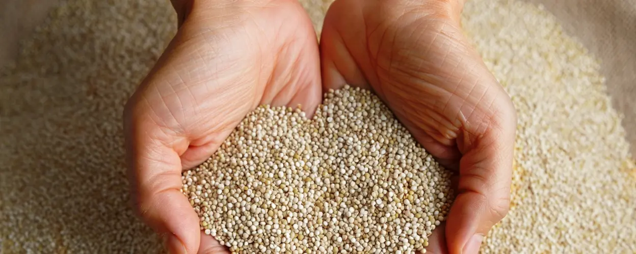 Superalimentos peruanos - Nutrición ancestral andina